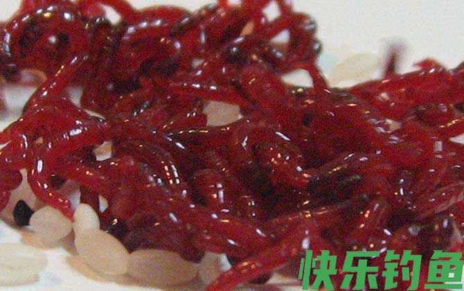 黑坑为什么不让用红虫？(图4)