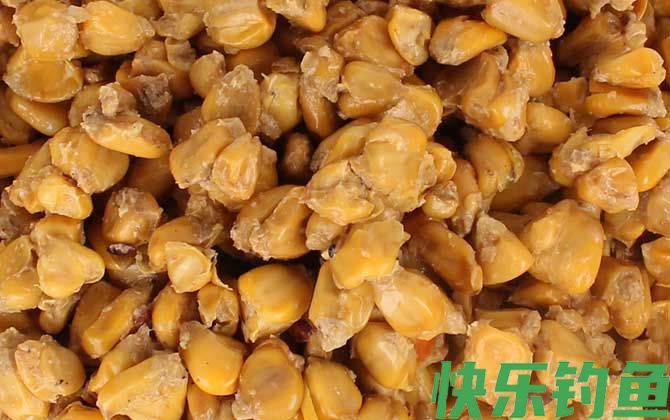 野钓排名第一的窝料(图4)