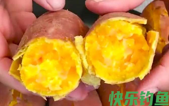 钓鱼用红薯一般蒸多久？(图3)