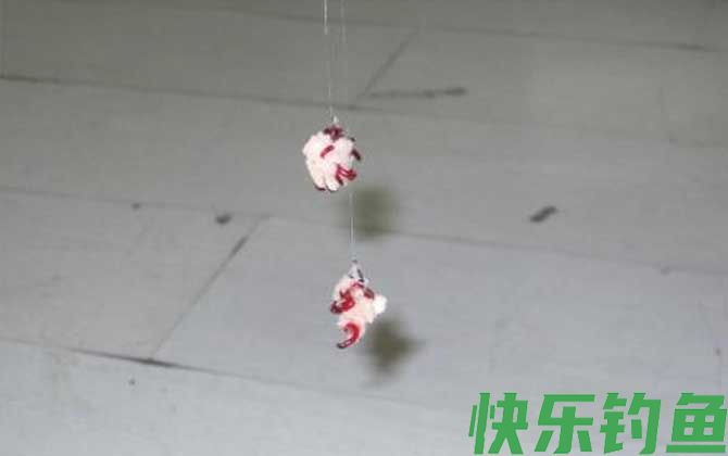 十二月份钓鱼用什么饵料？(图1)