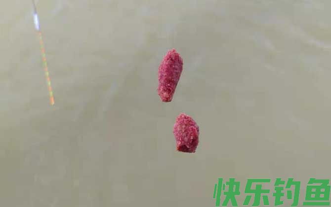 春季钓鱼用什么味型？(图4)