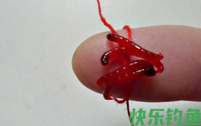 为什么红虫钓的鱼不能吃？(图1)