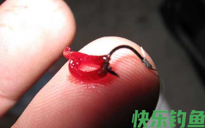 为什么红虫钓的鱼不能吃？(图3)