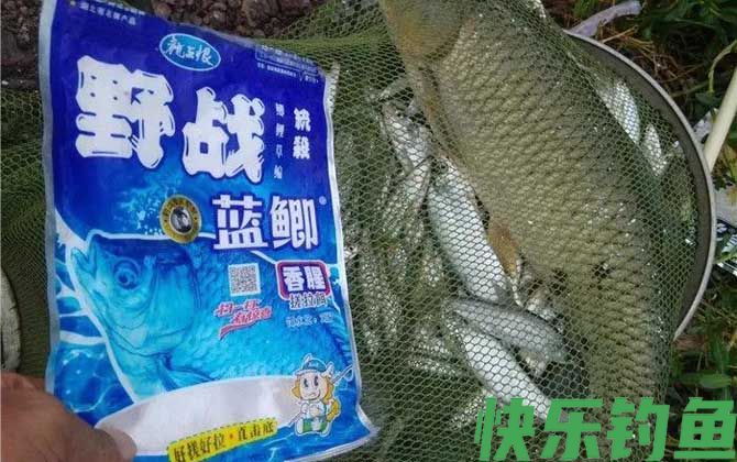三月钓鱼用什么饵料最好？(图4)