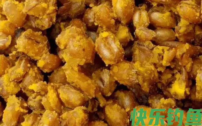 玉米钓鱼用生的还是熟的？(图3)