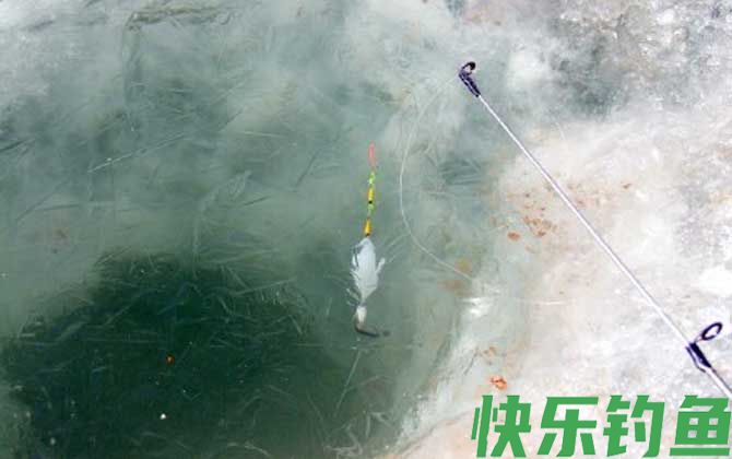 冰钓鲫鱼技巧及注意事项(图4)