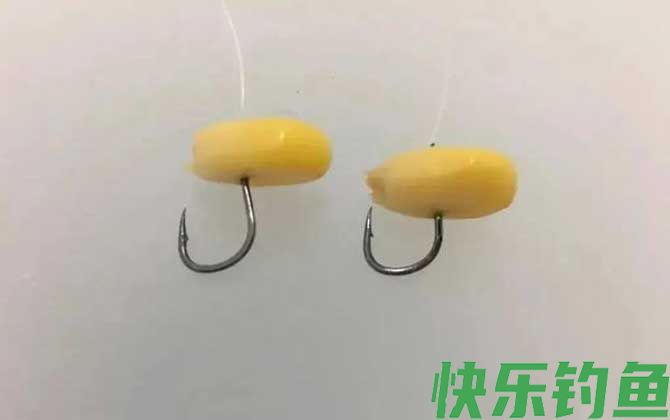玉米适合什么季节钓鱼？(图4)