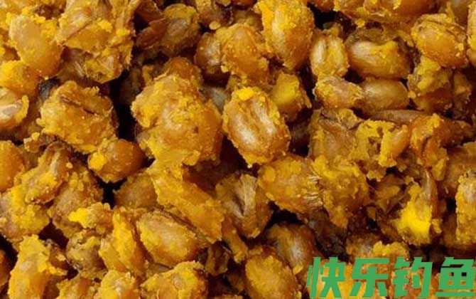玉米适合什么季节钓鱼？(图3)