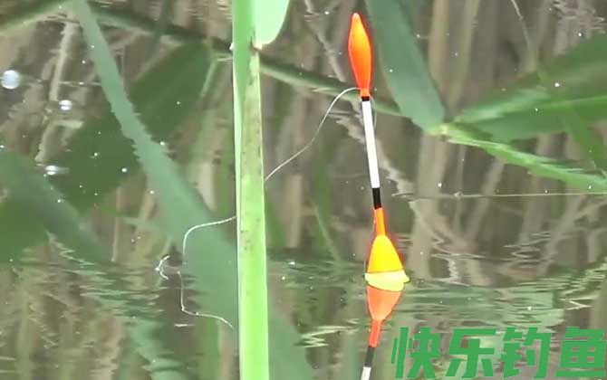 秋季钓鱼的技巧和方法(图1)