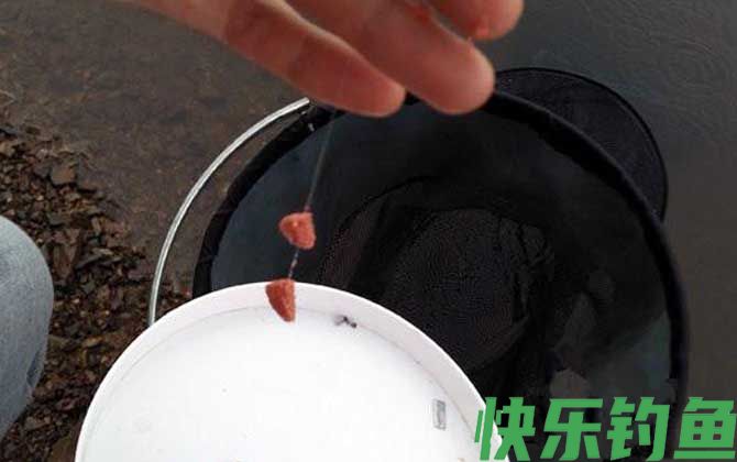正钓后多久适合去黑坑偷驴?(图3) 正钓后多久适合去黑坑偷驴?(图3)