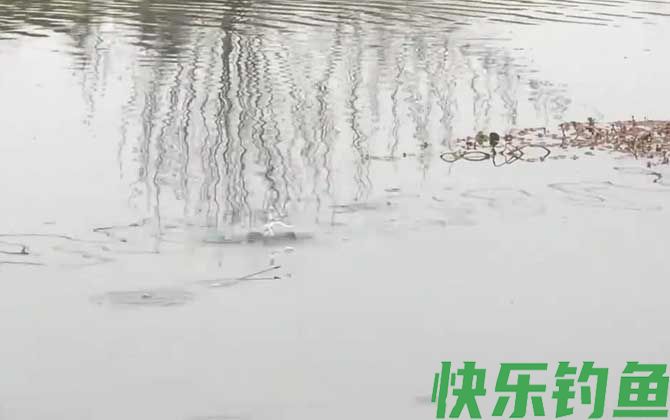 二月钓鱼最佳时间是什么时候？(图3)