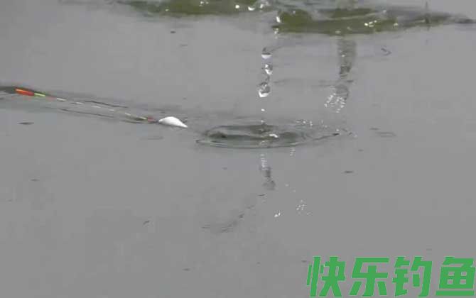 夏季钓鱼要钓底吗？(图1)