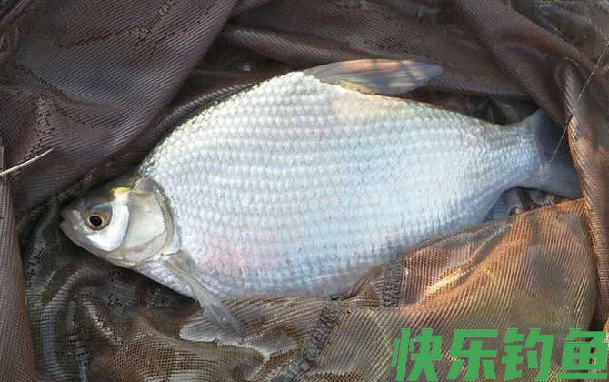 新手钓鱼须知及基本常识(图2)