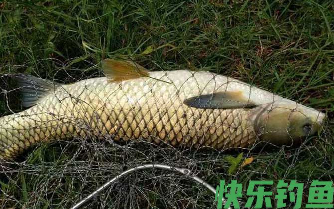 新手钓鱼须知及基本常识(图7)