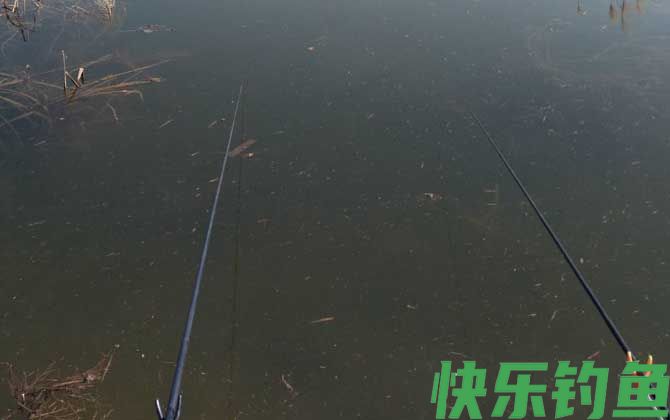冬季钓鱼什么时间开口最好?(图3) 冬季钓鱼什么时间开口最好?(图3)