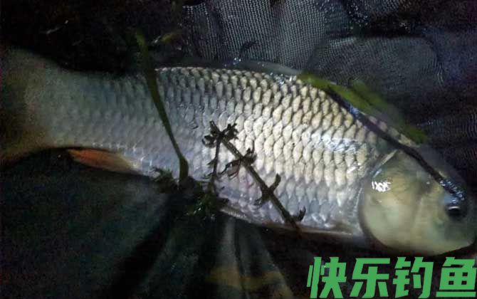 夏天突然降温第二天好钓鱼吗？(图1)