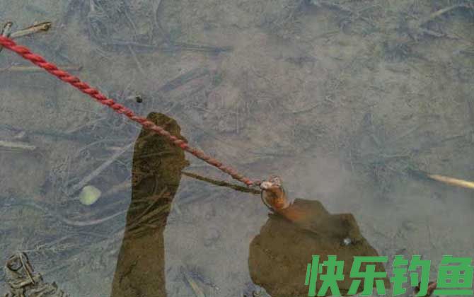 钓黄鳝实用技巧大全(图4)
