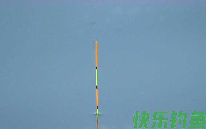鲫鱼漂相什么时候提竿？(图3)