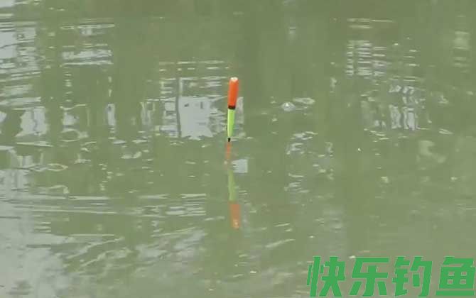 初夏钓鱼钓深水还是浅水？(图3)