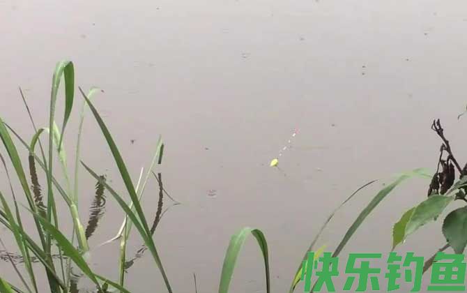 初夏钓鱼选择什么位置最好？(图1)