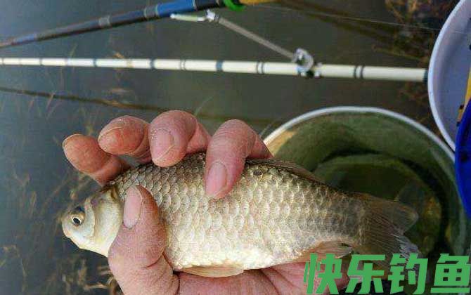 夏天东风好钓鱼吗？(图3)