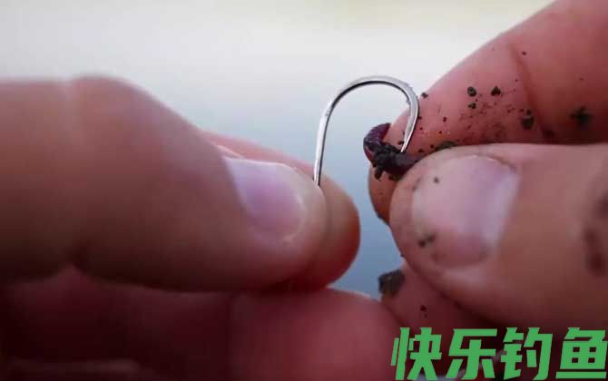 蚯蚓钓鱼什么时候提竿？(图3)