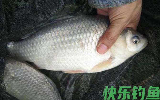 夏天东风好钓鱼吗？(图2)