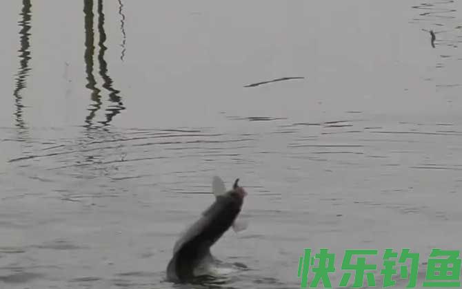 初冬钓鱼不开口怎么办？(图5)