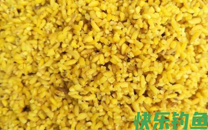 酒米打窝一次多少量合适？(图3)