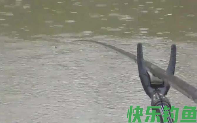 闷竿钓法怎么钓？(图1)