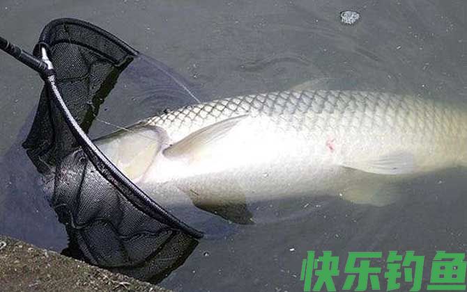 钓鱼漂相口诀及提竿时机(图5) 钓鱼漂相口诀及提竿时机(图5)