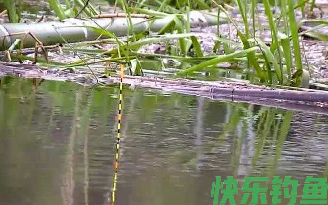 钓鱼什么漂相可扬竿？(图1)