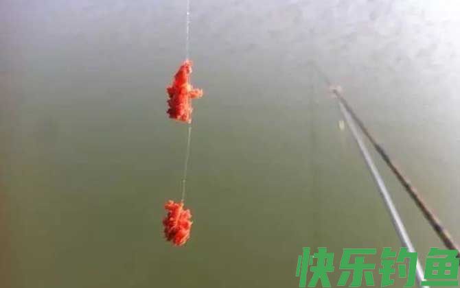 台钓技巧及注意事项(图6)
