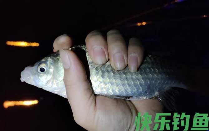 夏天怎么钓鱼容易上钩？(图4)