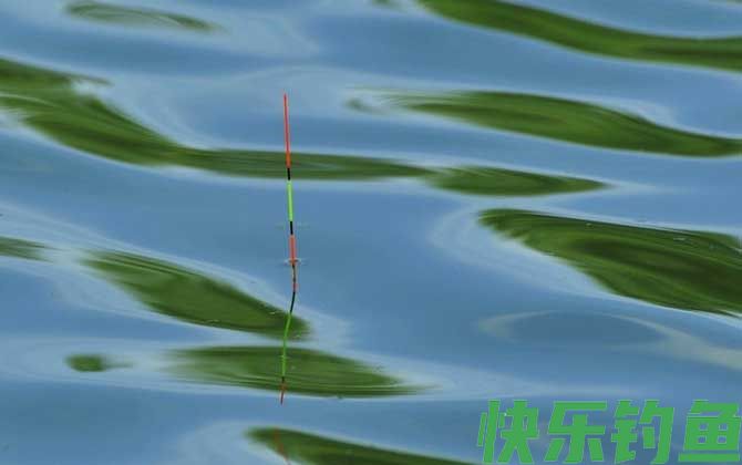 浮漂慢慢黑漂是什么鱼？(图2)