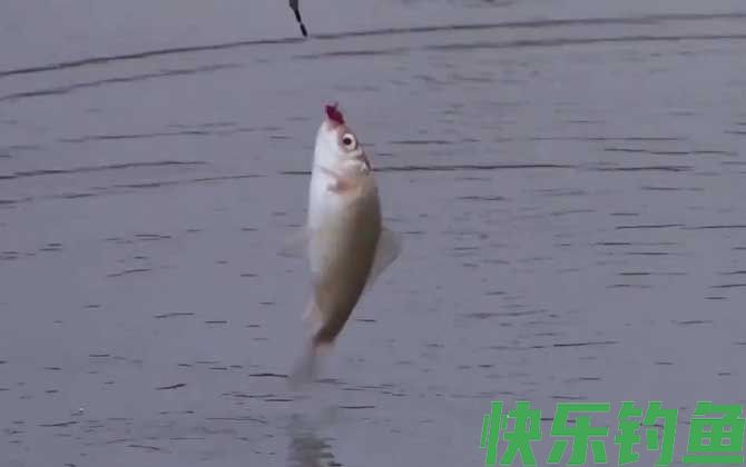 冬季钓鱼南岸好还是北岸好？(图3)