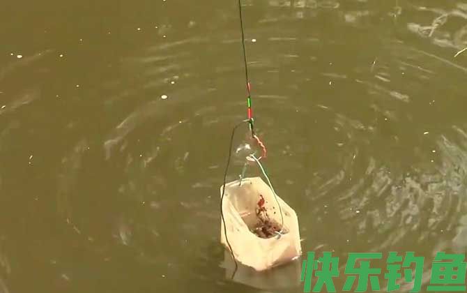 打窝一般多长时间聚鱼？(图1)