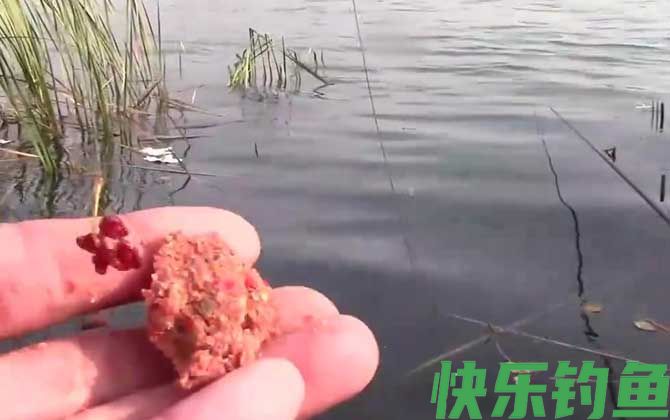 打窝一般多长时间聚鱼？(图2)