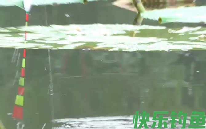 八月钓鱼钓多深合适？(图3)