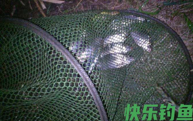 晚上钓鱼真的好钓吗？(图2)