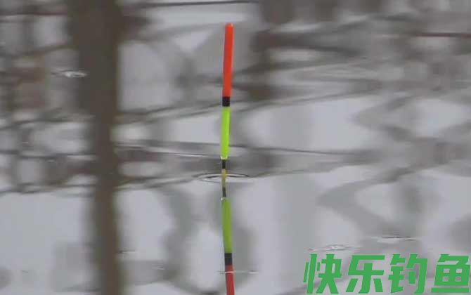 回锅鱼老滑鱼怎么钓？(图4)