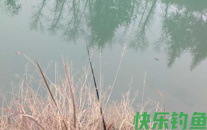 春季钓鲫鱼技巧大全(图3)