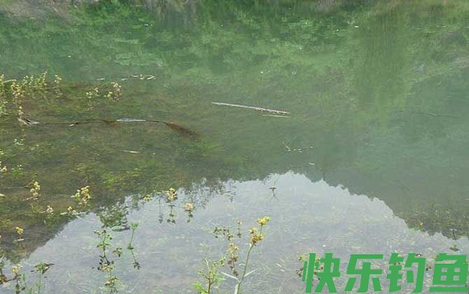如何才能精确判读漂讯？(图4)