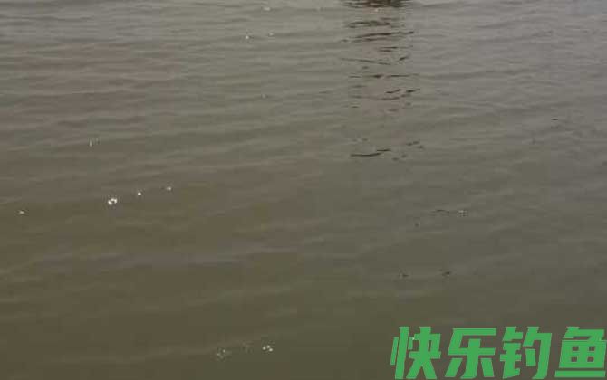 如何才能精确判读漂讯？(图5)