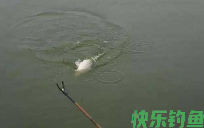 如何才能精确判读漂讯？(图7)