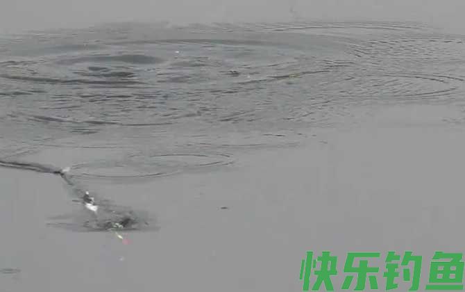 早春钓鱼打窝要多长时间可钓？(图3)