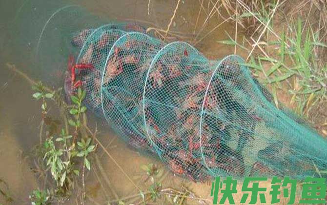 虾笼冬天可以逮河虾吗？(图2)