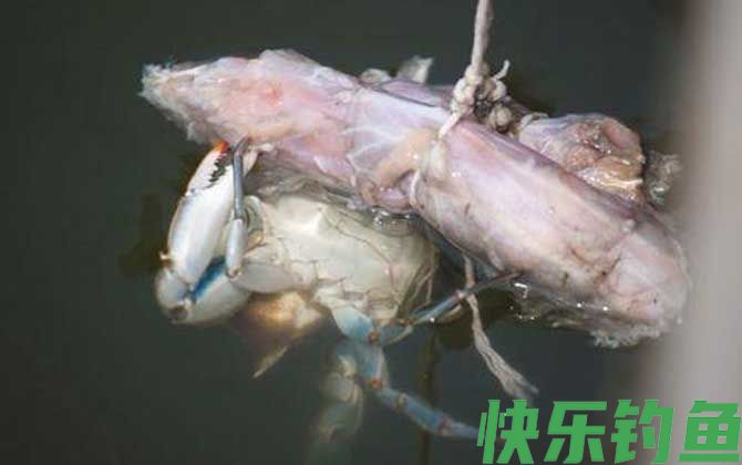 钓螃蟹的最快方法(图1)