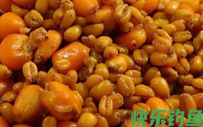 老玉米钓鱼技巧及泡制方法(图3) 老玉米钓鱼技巧及泡制方法(图3)