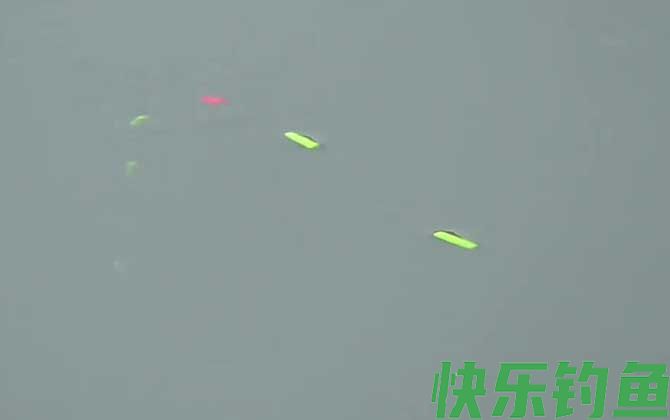 七星漂钓鱼什么时候提竿？(图4)